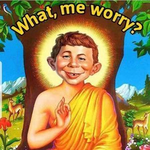 Meet your Posher, Max